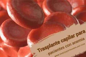 Trasplante de cabello de pacientes con anemia, una imagen de microscopio de plasma sanguíneo.