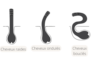 La différence entre les cheveux lisses, ondulés et bouclés SHIFT Türkiye 3